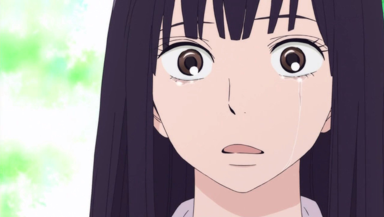 Kimi ni Todoke Season 2 BD Subtitle Indonesia - MegumiNime