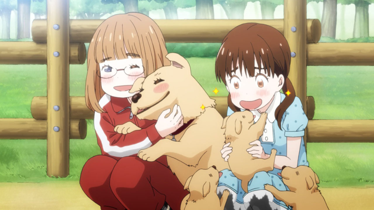 3-gatsu no Lion 2nd Season – 19 - Random Curiosity