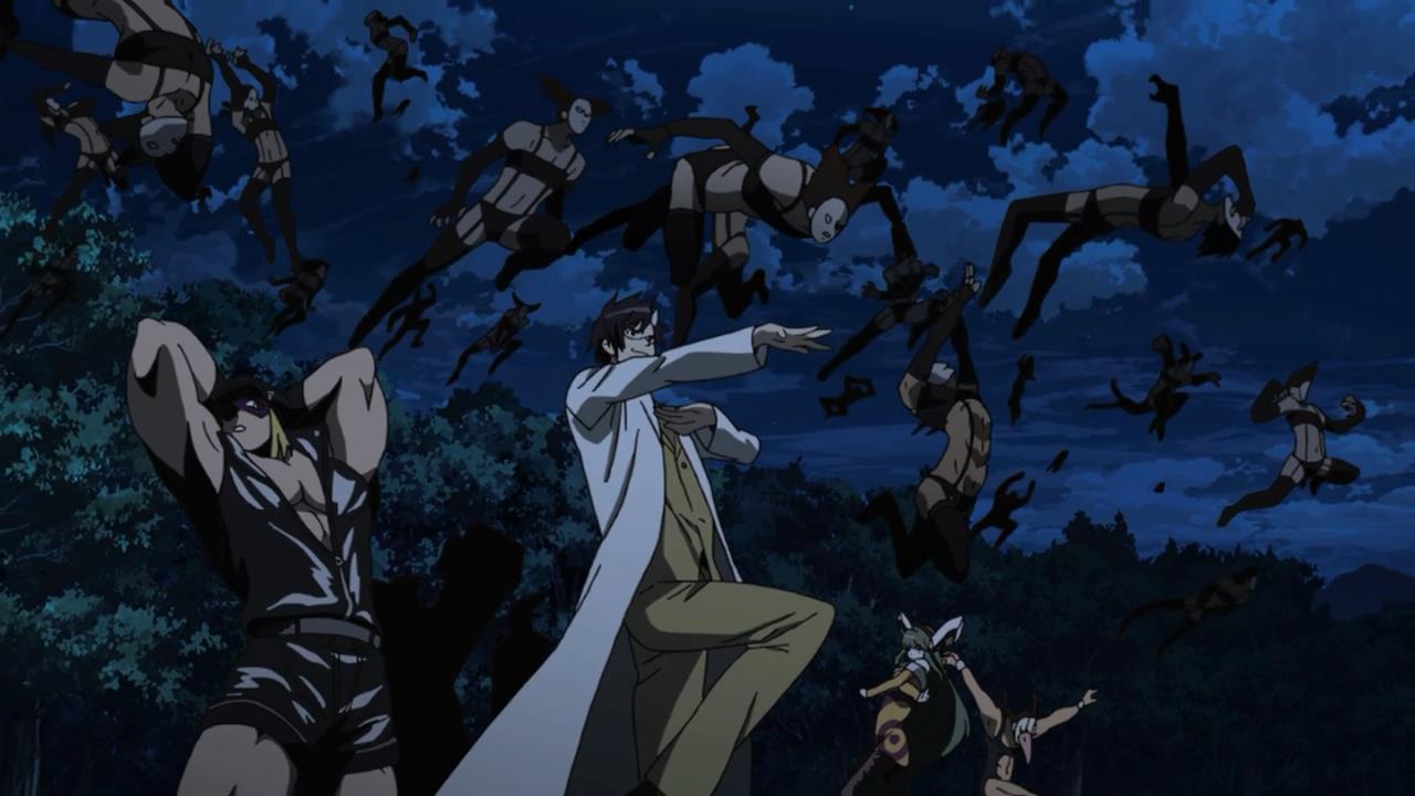 I've always wondered who could replace Najenda as night raid leader. Well  here you go, boss Leone has taken over! : r/AkameGaKILL