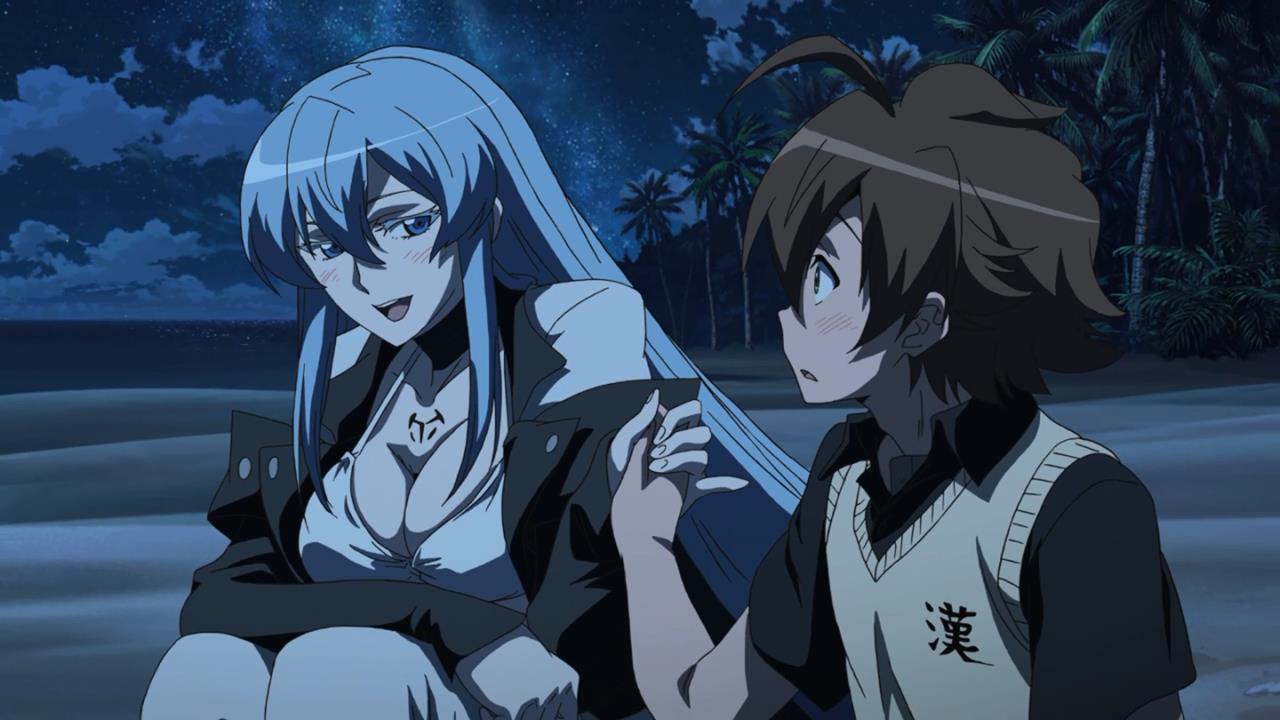 Akame ga Kill – 14 - Random Curiosity