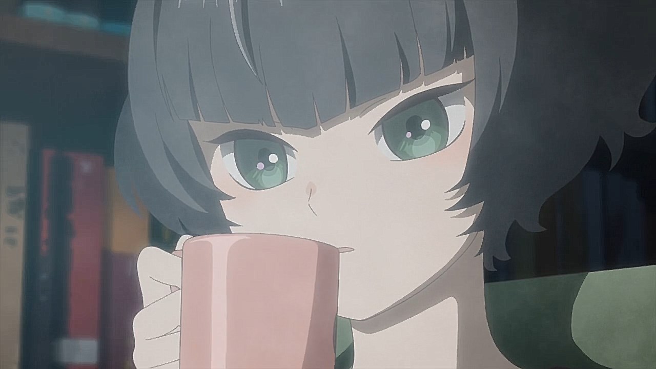 Anime Taste Testing: Araburu Kisetsu no Otome-domo yo and Vinland