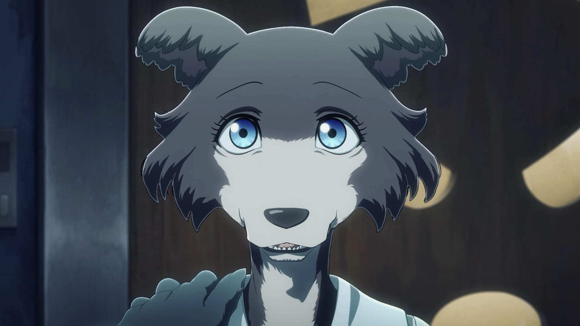 Beastars. Аниме Beastars 2 Season. Риз Выдающиеся звери. Beastars Риз медведь. Beastars Легоши и Риз.