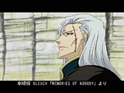 Bleach 106 Random Curiosity