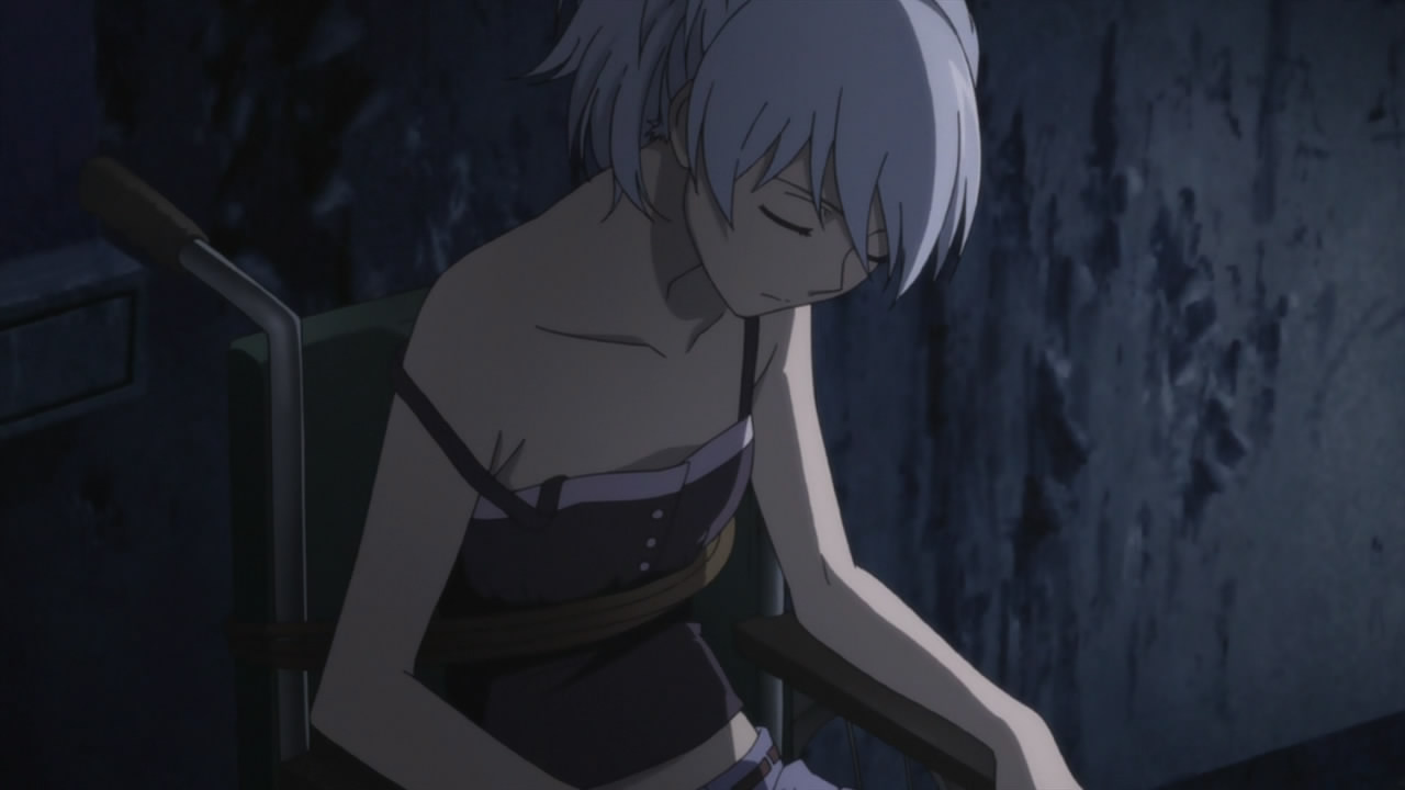 A Review of Darker Than Black: Gemini of the Meteor