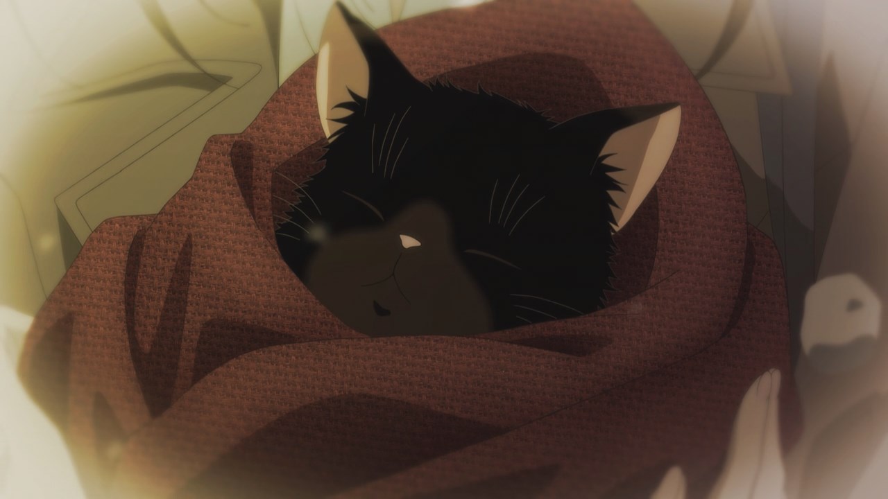 The Masterful Cat Is Depressed Again Today (Dekiru Neko wa Kyo mu