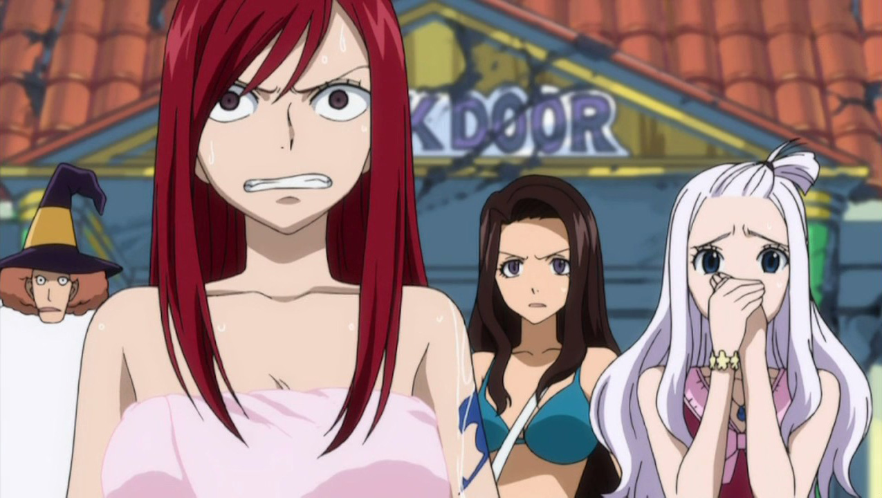 FAIRY TAIL – 23 - Random Curiosity