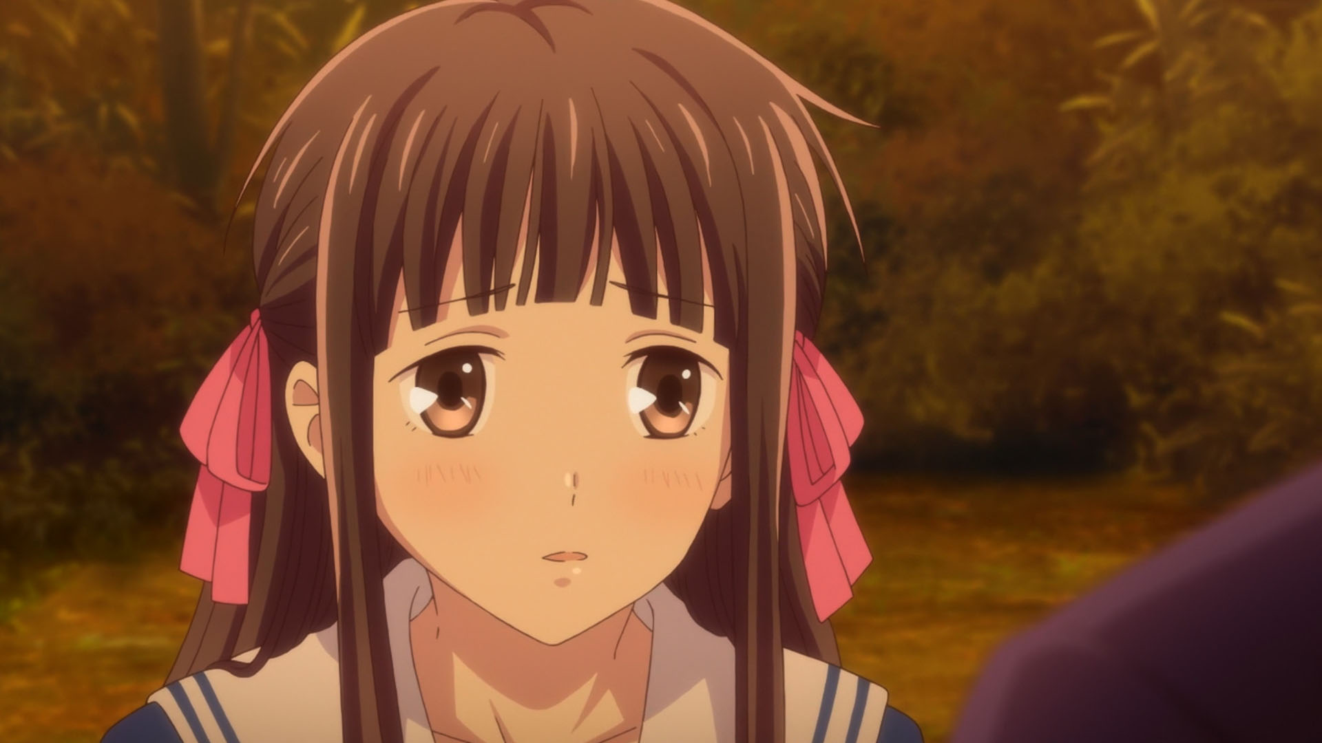 Fruits Basket (2019) – 10 – Random Curiosity