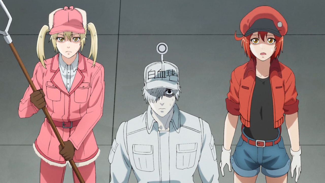 Hataraku Saibou!! Review – PyraXadon's Anime Archive