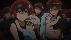 Kimono Amarelo: Hataraku Saibou #11