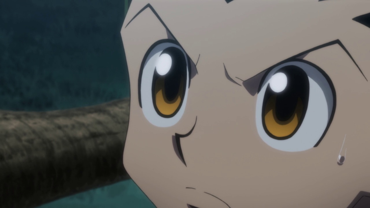 Hunter X Hunter 2011 – 102 – Random Curiosity