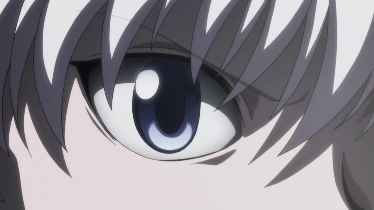 Hunter X Hunter 2011 – 116 – Random Curiosity