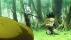 Hunter x Hunter 2011 76 (14)