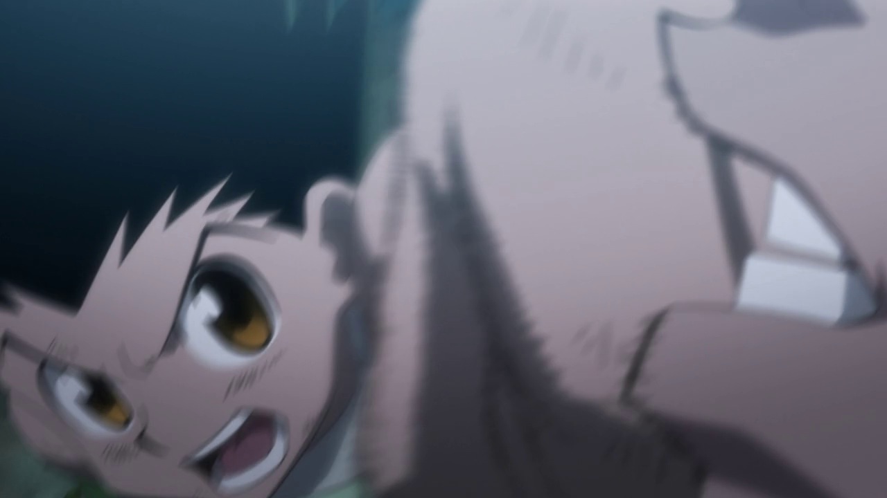 Hunter X Hunter 11 Random Curiosity