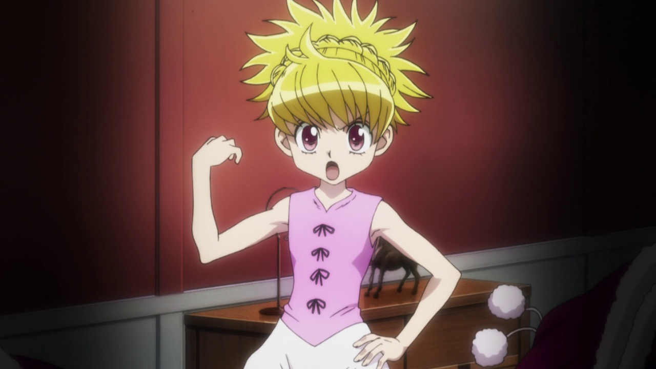 Hunter X Hunter 11 Random Curiosity