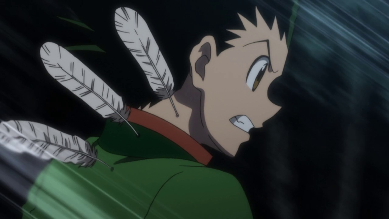 Hunter x hunter : another reason why Ging left gon.. - Karma