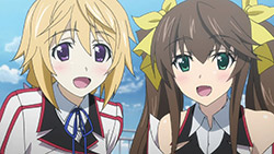 Infinite Stratos - Random Curiosity