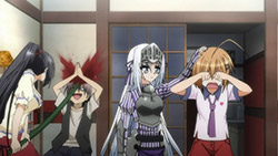 A Tale of Two Harems: Kore Wa Zombie Desuka? vs. Infinite Stratos