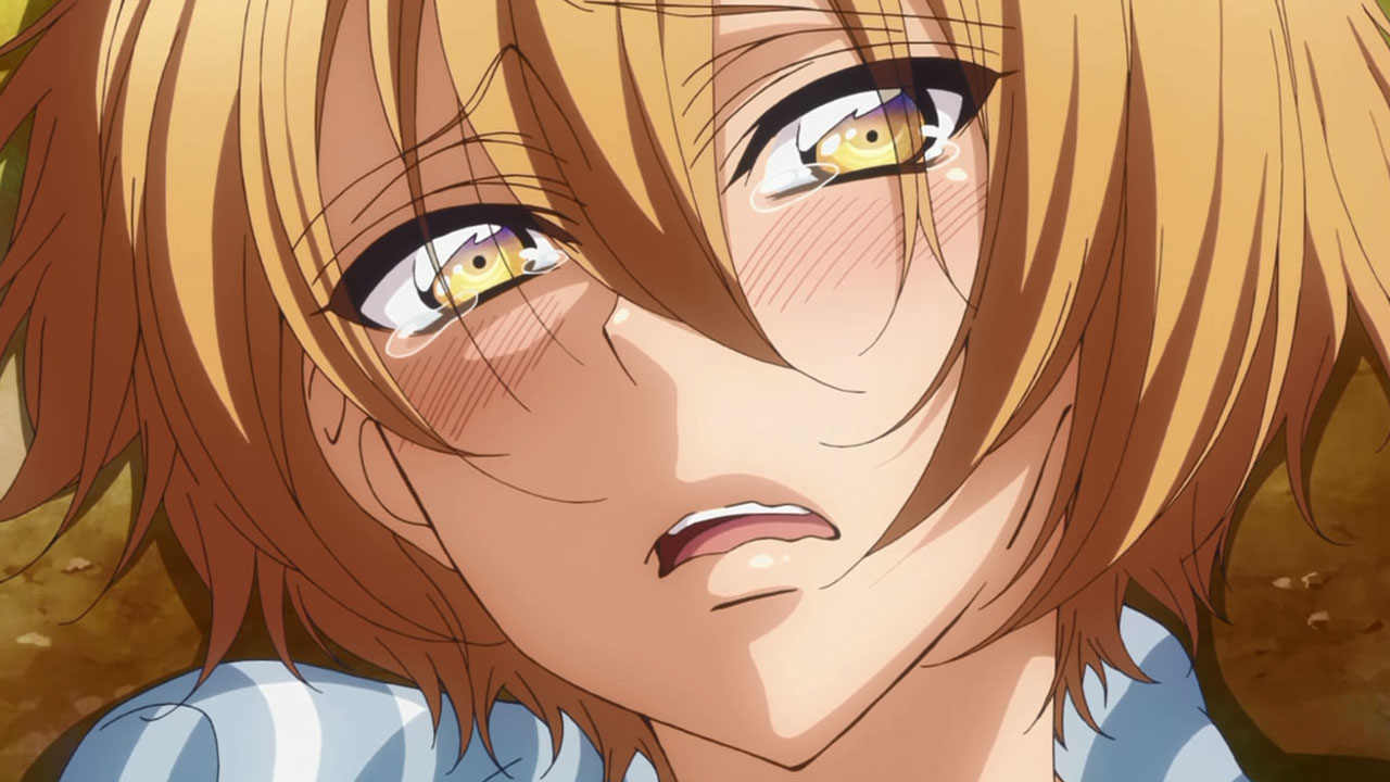 Love Stage 10 End Random Curiosity