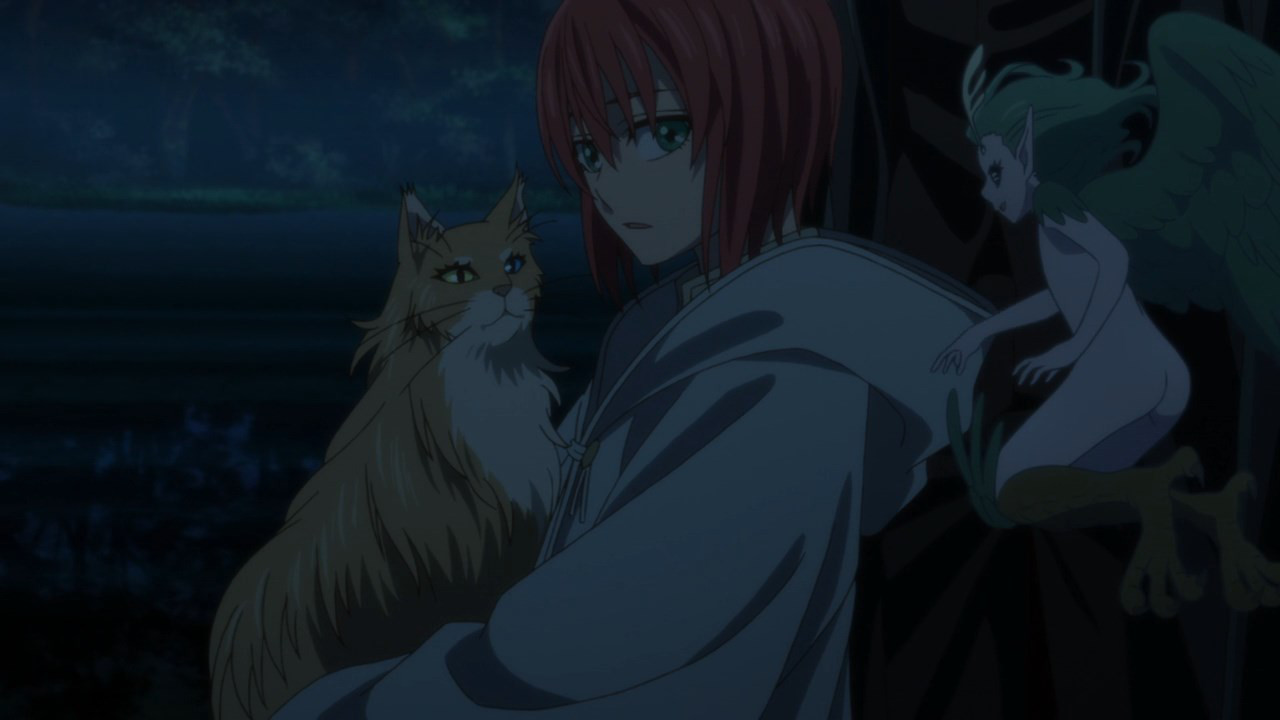 The Sorting Cats [Mahoutsukai no Yome/ Ancient Magus' Bride season