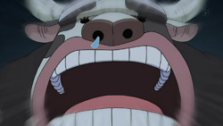 One Piece 447 Random Curiosity