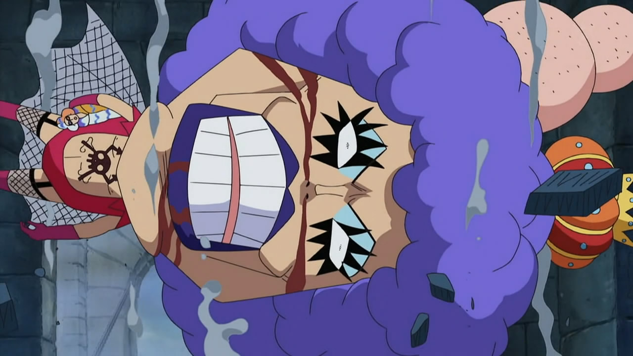 One Piece 450 Random Curiosity