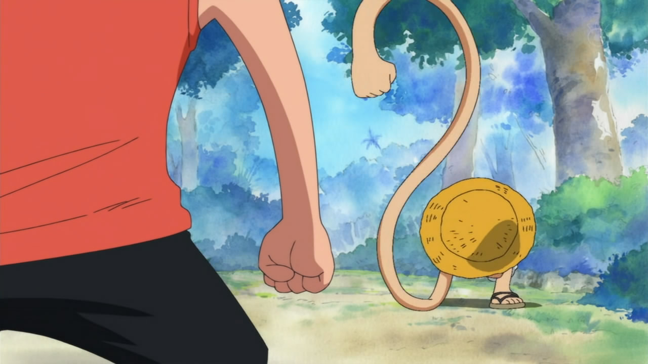 One Piece 457 Random Curiosity