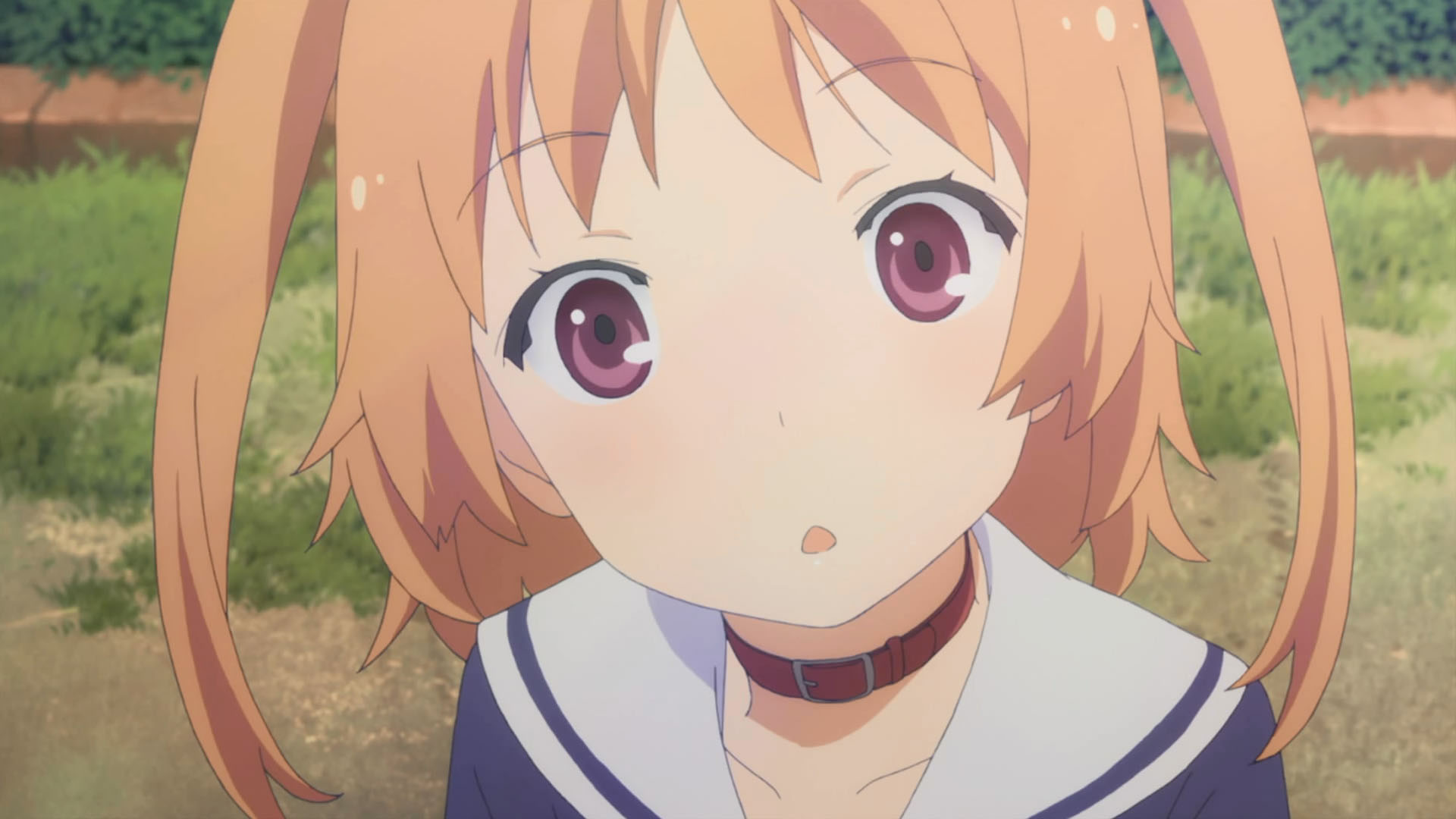 Chiwa is absolutely adorable.