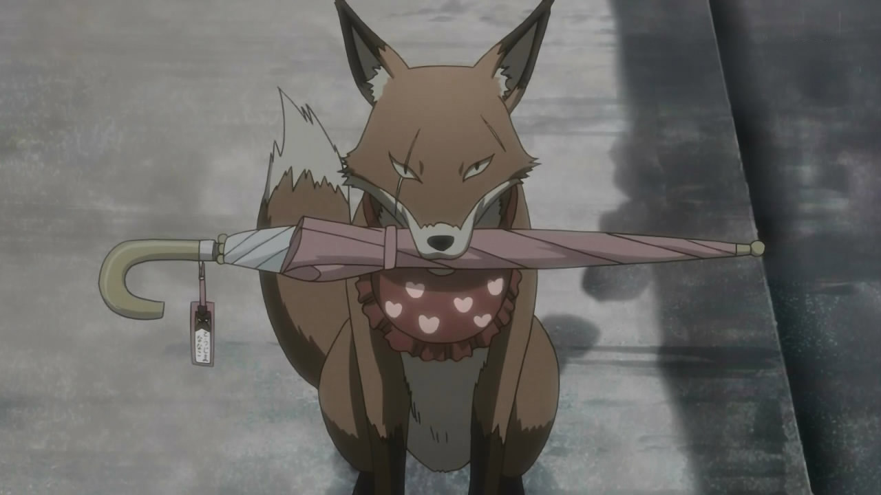 Лис 4. Fox persona 4. Амбрелла лиса. S- I-I 3 the Fox. Fox anime Network Entertainment in g mayor.