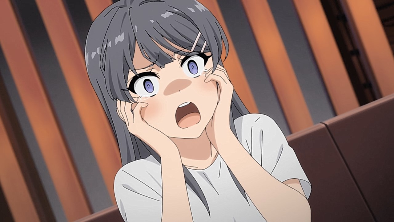 New Seishun Buta Yarou wa Bunny Girl Senpai no Yume wo Mirai