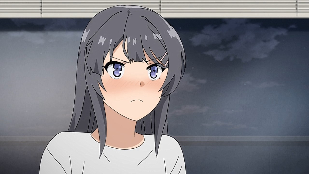 Seishun Buta Yarou wa Bunny Girl Senpai no Yume wo Minai – 10 – Random  Curiosity