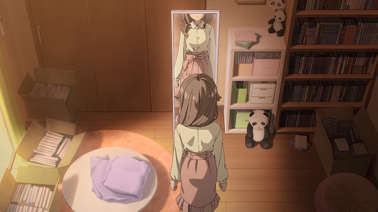 Seishun Buta Yarou wa Bunny Girl Senpai no Yume wo Minai Picture Drama - My  Anime Shelf