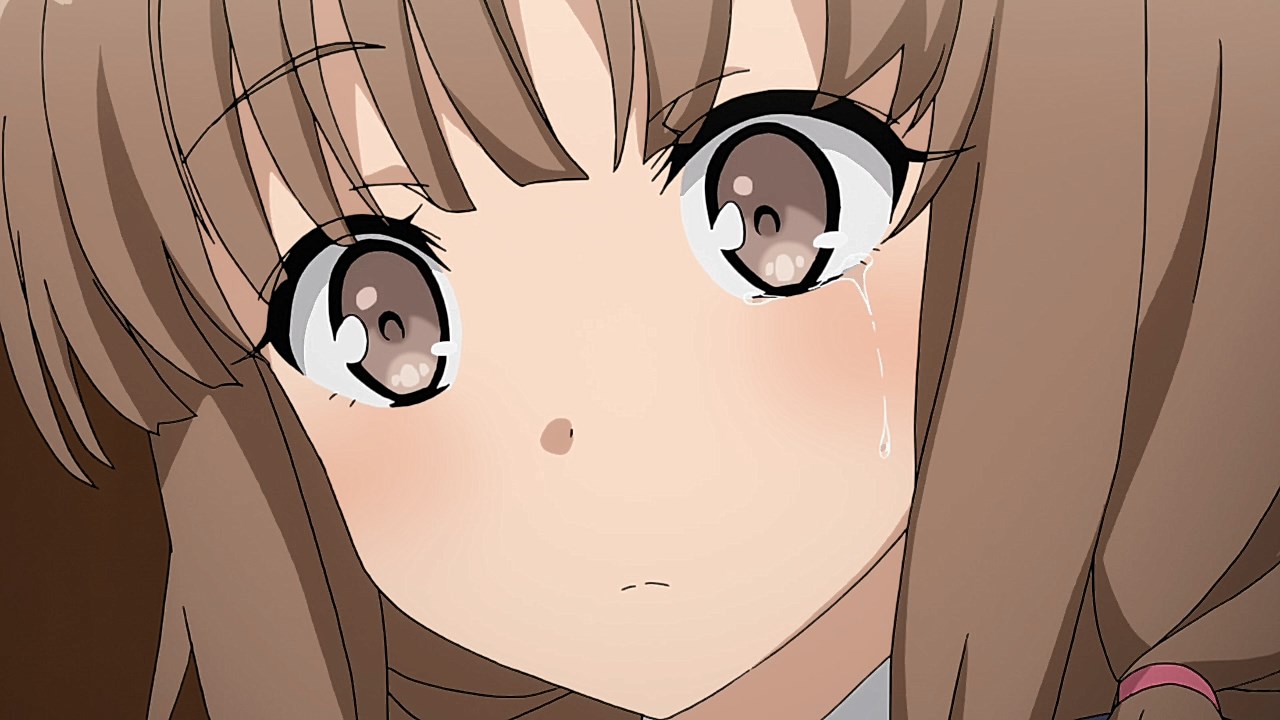 Sakuta Azusagawa  Seishun Buta Yarou wa Bunny Girl Senpai no Yume