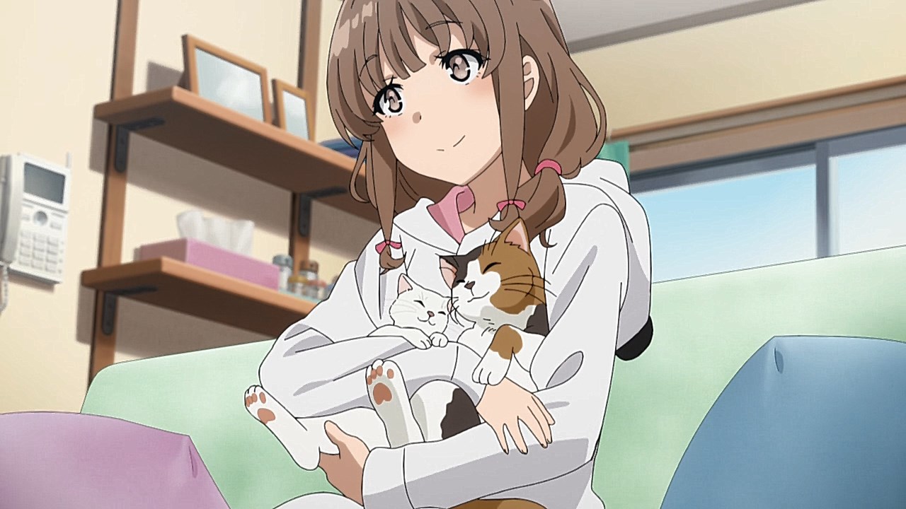 Seishun Buta Yarou wa Bunny Girl Senpai no Yume wo Minai Anime