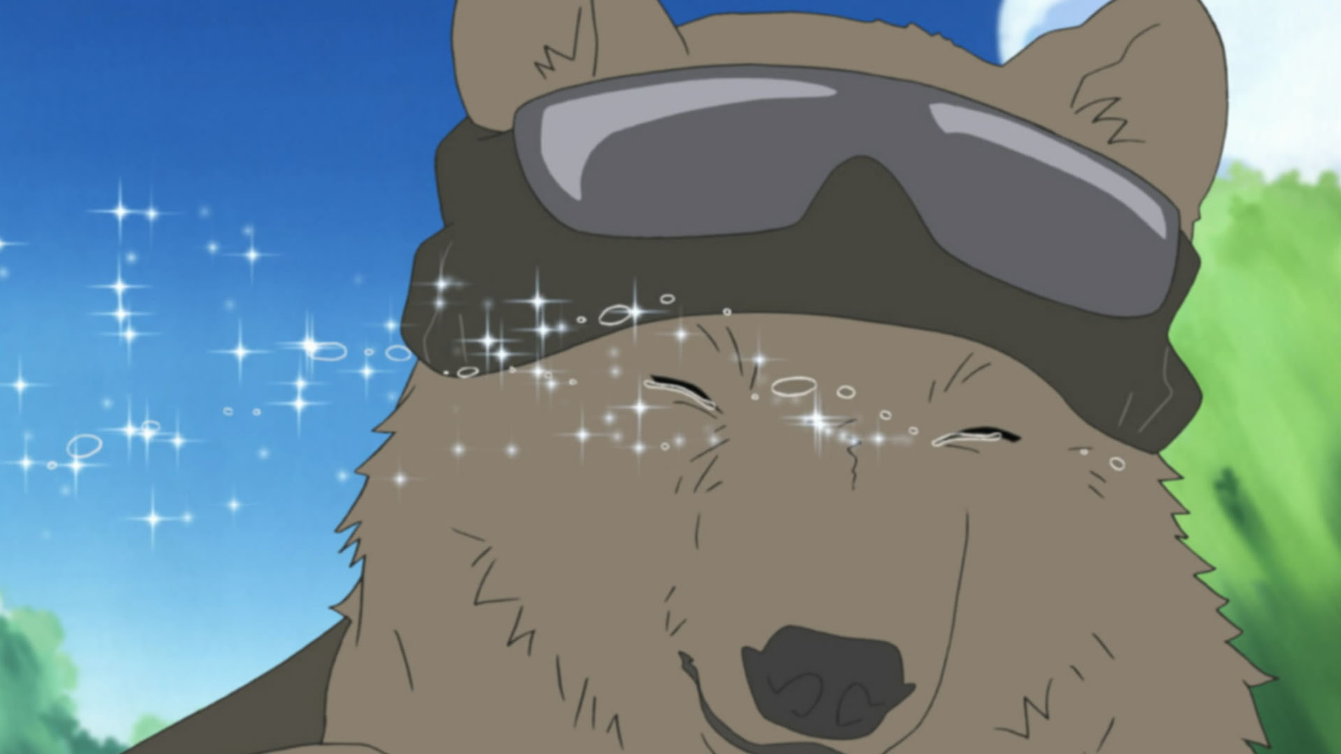 Satou Shirokuma. Shirokuma Cafe Wolf. Широкума Данганронпа хуманизация. Shirokuma MHA.