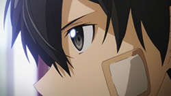 Sword Art Online Ii 14 Random Curiosity