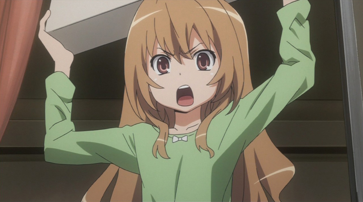 Toradora! – 19 - Random Curiosity